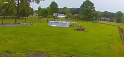 Intex 26701EH Prism Frame 10ft (3.05m) x 30in (76cm) Above Ground Pool Set – 1,185 Gallon (4,486L) Capacity with Filter Pump – Rust & Puncture Resistant, Quick Setup photo review