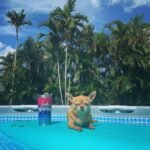 Intex 26701EH Prism Frame 10ft (3.05m) x 30in (76cm) Above Ground Pool Set – 1,185 Gallon (4,486L) Capacity with Filter Pump – Rust & Puncture Resistant, Quick Setup photo review