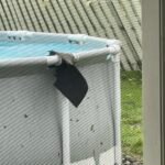 Intex 26701EH Prism Frame 10ft (3.05m) x 30in (76cm) Above Ground Pool Set – 1,185 Gallon (4,486L) Capacity with Filter Pump – Rust & Puncture Resistant, Quick Setup photo review