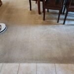 Shark AI Ultra Robot Vacuum – Self-Emptying, Smart Mapping, Matrix Clean, 60-Day XL Base, Pet Hair Pickup, Voice/App Control, LiDAR Navigation for Carpet & Hard Floors photo review