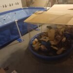 Intex 9.8ft x 6.6ft x 29.5in (300cm x 201cm x 75cm) Rectangular Above Ground Pool with Metal Frame & Flow Control Valve – Easy Setup Family Backyard Pool – 4,500L Capacity – Blue photo review