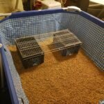 Intex 9.8ft x 6.6ft x 29.5in (300cm x 201cm x 75cm) Rectangular Above Ground Pool with Metal Frame & Flow Control Valve – Easy Setup Family Backyard Pool – 4,500L Capacity – Blue photo review