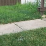 BLACK+DECKER 20V MAX Cordless 3-in-1 String Trimmer, 12″ (30.5 cm) Mower & Edger – Model MTC220 photo review