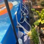 Intex 9.8ft x 6.6ft x 29.5in (300cm x 201cm x 75cm) Rectangular Above Ground Pool with Metal Frame & Flow Control Valve – Easy Setup Family Backyard Pool – 4,500L Capacity – Blue photo review