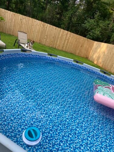 Bestway Steel Pro MAX 12ft (3.66m) x 30in (76cm) Round Above Ground Swimming Pool Set with Filter Pump – 6,473L Capacity – Durable Metal Frame Family Outdoor Pool – Gray photo review